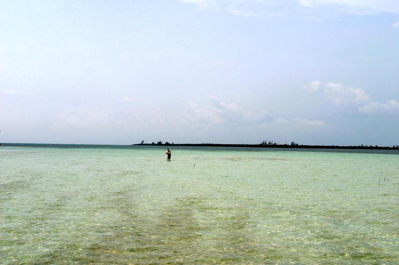 March, 2003