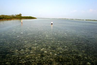 March, 2003