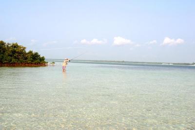 March, 2003