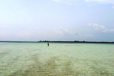 March, 2003