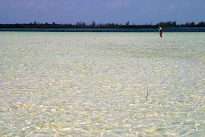 March, 2003