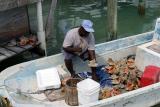 Conch Guy