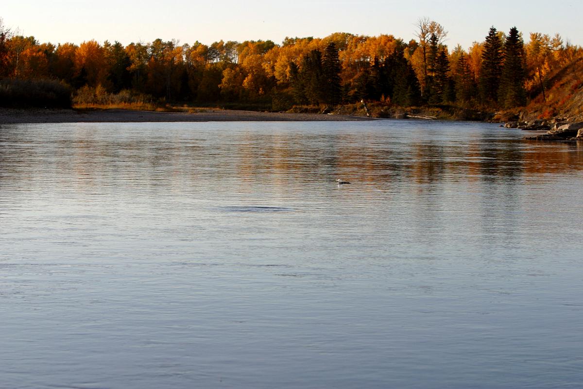 Fall, 2003