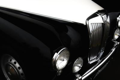 MGPenguinIMG09794.jpg