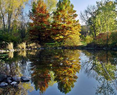 Duck Pond