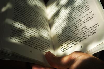 4th Place Reading on an Autumn Day by Flick Merauld
