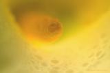 Droplets by Paul Rohal