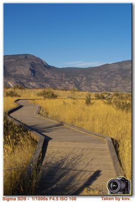My Path