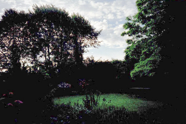 garden.jpg