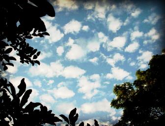 morningclouds.jpg