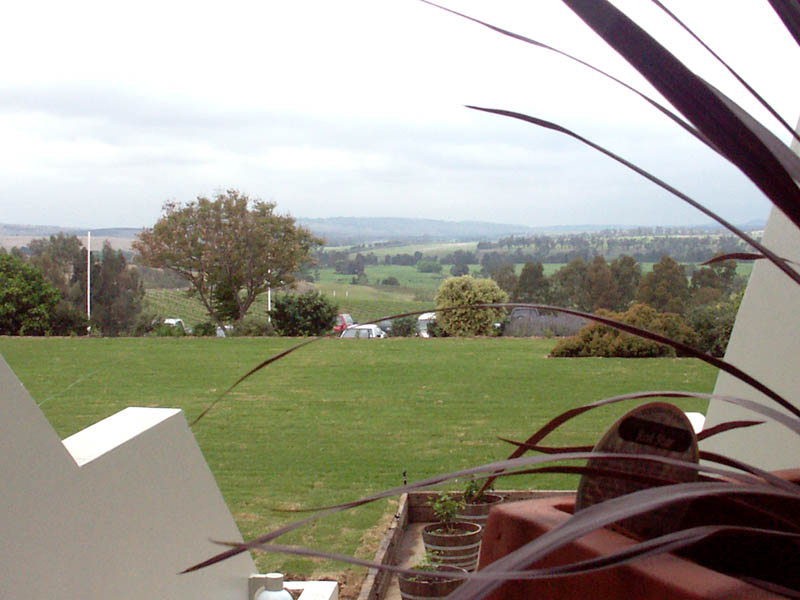 From the steps after a wine-tasting