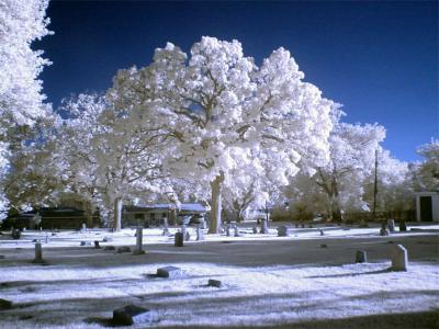 Clinton Oaks Cemetary