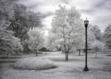 Garden Center Park