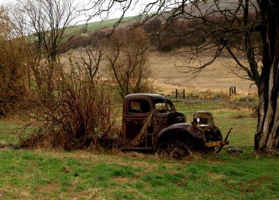 Long Term Parking - Spring