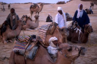 people027_men+camels.jpg