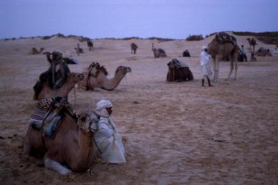 nature029_men+camels+desert.jpg