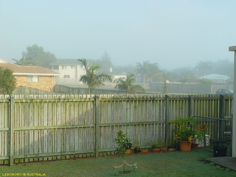 brouillard scarness52