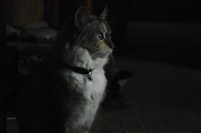 CRW_4858.jpg