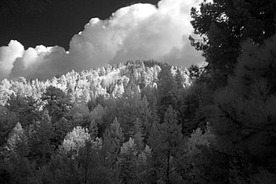 Mt. Lemmon - Tucson, AZ - IR BW Infrared