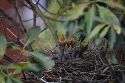 2. Mum arrives with dinner!