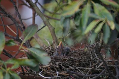 6. Hmm, this guy is greedy!!