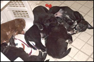 Nap - 5 weeks