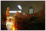 IMG_8836.jpg