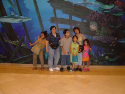 Blurry Picture #2 from Shark Reef
