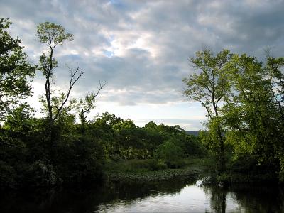 Paulinskill River_0894.jpg