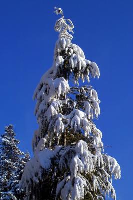 October Snow