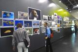 Gallery Wall