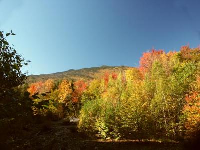 fall-04-m10106.jpg