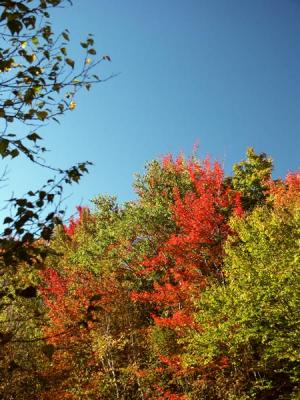 fall-04-m10110.jpg