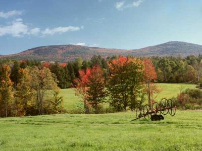 fall-04-m10145.jpg