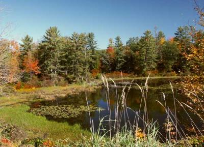 fall-04-m10168.jpg