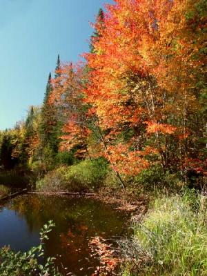 fall-04-m10182.jpg