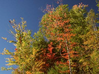 fall-04-m10219.jpg