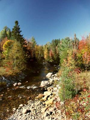 little-river-m10206.jpg
