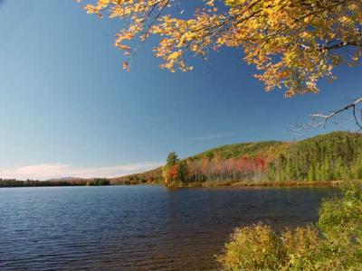 martin-meadow-pond-m10201.jpg
