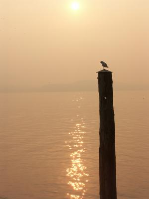 Warming up at Sunrise