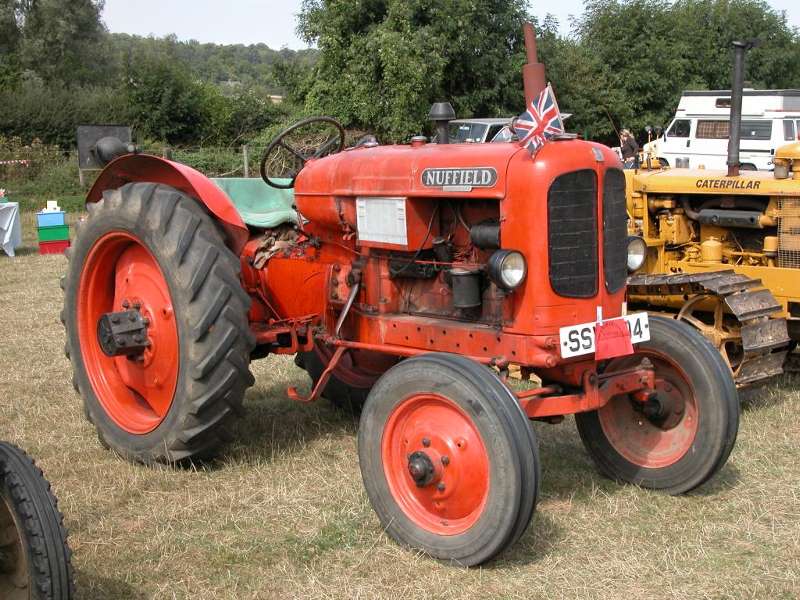 DSCN3166.jpg