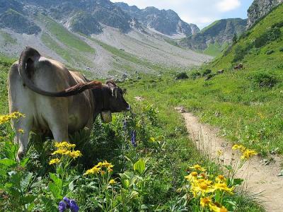 Kleinwalsertal - Wanderung Fiderepasshütte