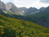 Kleinwalsertal - Wanderung Fiderepasshtte