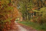 Merksplas Kolonie - Wandeling Vagebondjespad