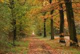 Merksplas Kolonie - Wandeling Vagebondjespad