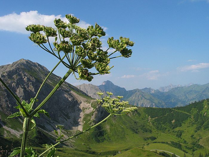 Kleinwalsertal - Wanderung Fiderepasshtte