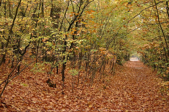 Merksplas Kolonie - Wandeling Vagebondjespad