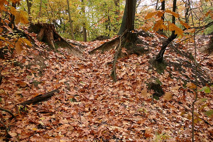 Merksplas Kolonie - Wandeling Vagebondjespad