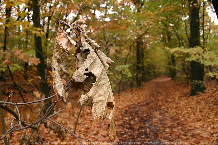 Merksplas Kolonie - Wandeling Vagebondjespad