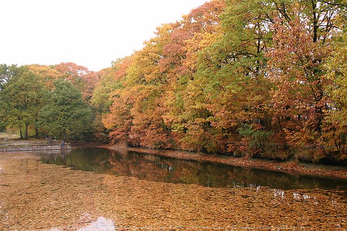 Merksplas Kolonie - Wandeling Vagebondjespad